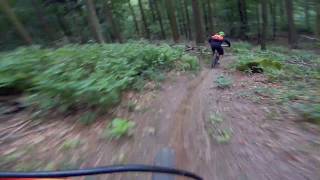 [Test] Handlebar Mount - Drei Eichen und...