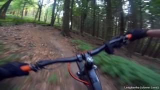 Let's Ride MTB - Heidelberg // Königstuhl -...