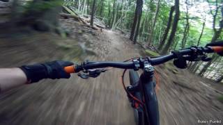 Let's Ride MTB - Pfalz // Weinbiet Roter Punkt...