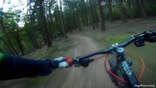 Let's Ride MTB - Heidelberg // Weißer Stein -...