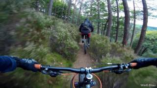 Let's Ride MTB - Pfalz // Stabenberg ins...