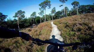 Let's Ride MTB - Pfalz // Lambrecht -...