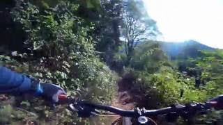 Let's Ride MTB - Pfalz // Lambrecht -...