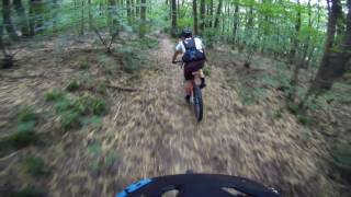 Let's Ride MTB - Pfälzerwald // Zach on Fire!...