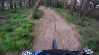 Let's Ride MTB - Pfälzerwald // 17.07.2016...