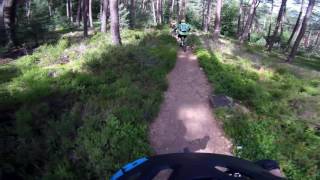 Let's Ride MTB - Pfälzerwald // Weinbiet Rot...