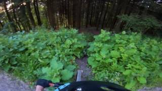 Let's Ride MTB - Heidelberg // Falknerei...