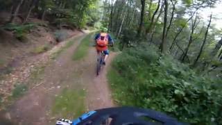 Let's Ride MTB - Pfalz Revisited - Wolkenbruchweg