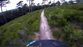 Let's Ride MTB - Pfalz Revisited - Kaisergarten