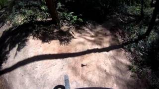 Let's Ride MTB - Heidelberg // Gaisbergtrails