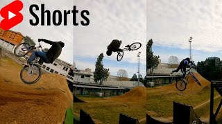 Fronniwhip!!