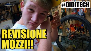 #DIDITECH - REVISIONARE I MOZZI E CUSCINETTI