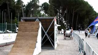 Summer 2011