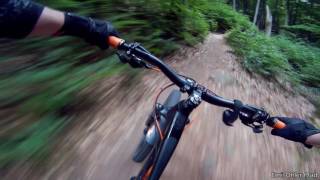 Let's Ride MTB - Pfalz // Hellerhütte und...