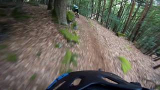Let's Ride MTB - Pfälzerwald //...