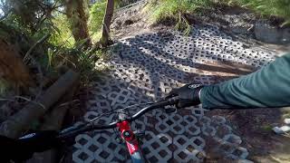 Virginia Key North Point Trails / 'War Pigs'