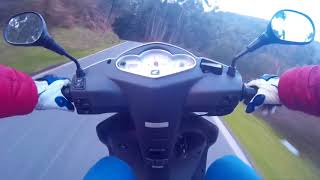 Ruta en scooter 125 -HONDA DYLAN - BOSQUE A...