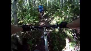 Hillsborough Whoops/ Roller Coaster