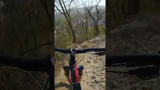 Mountain bike rocky trails are nice!  | #Shorts