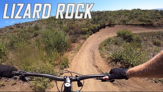 Lizard Rock Trail into Blue Belly Trail -...