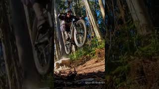 Salto MTB  en monte do Coto Sanxenxo COMMENCAL...