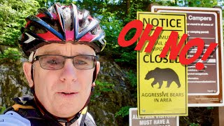 Aggressive BEARS in the area -- Cheakamus...