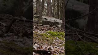 camera.test