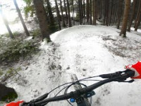 Flowline // Miesenbach Mountain Bike Park
