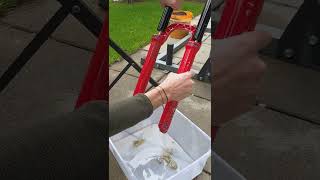 How to service ⚒️ your mountain bike fork...