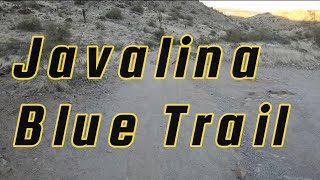 Javalina (so. Mountain blue trail)