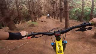 Geeeez - Riverhead Forest, Auckland NZ