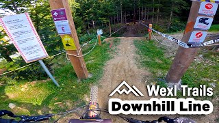 Downhill Line 2021 - Wexl Trails