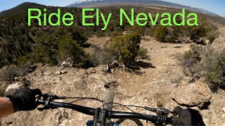 Twisted Pines top to bottom. Ely, NV.