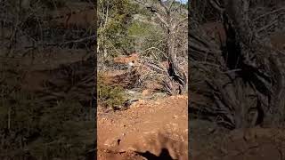 Pinkbike Friday Fails  #216 Top 5: 2nd place |...