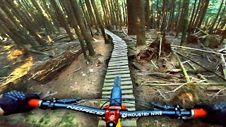 These Trails Have SO MUCH WOODWORK!