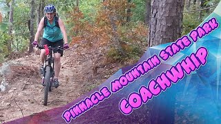 Pinnacle Mountain State Park 2021 (Coachwhip)