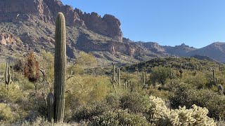 Mountain Biking Gold Canyon AZ (LG@ 2:10)