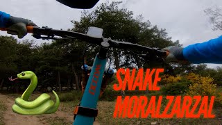 ‍♀️   Snake  | Moralzarzal (Madrid) |...