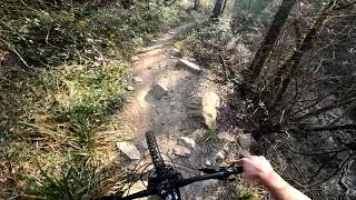 Big Sur - Javello