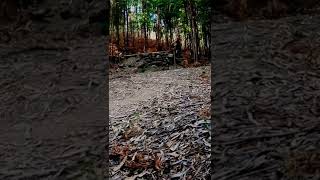 Super salto MTB EnDu Rígida COMMENCAL META HT...