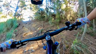 Stampede // Woodhill