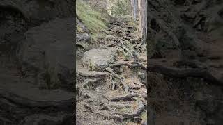 Gopro Hero 10 vs reality: the trail is...