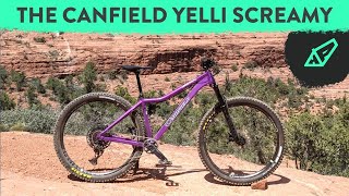 Canfield Yelli Screamy - A Modern Remake of an...