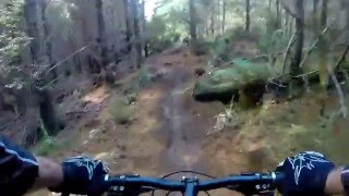 Off The Grid - Woodhill Mountain Bike Park