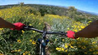 PANIC : MTB