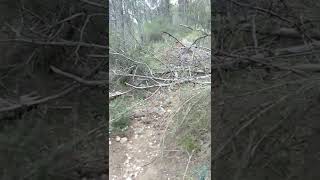 Trampas ciclistas en Murcia #shorts #ciclismo...