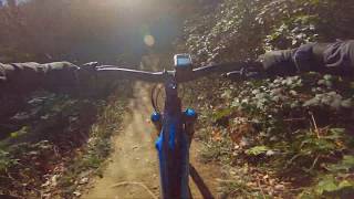 Monte Canto: Radici, Genestaro - MTB Bergamo