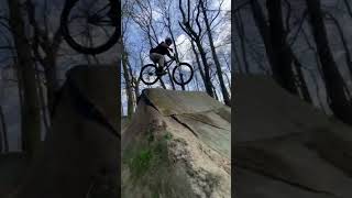 HUGE NBD Transfer at Holdshott Trails