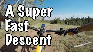 A super fast descent most mountain bikers...