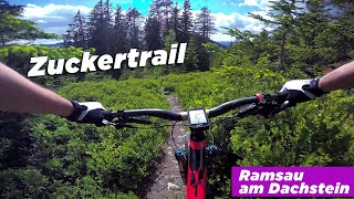 Endurotrail am Rittisberg (MTB Ramsau am...